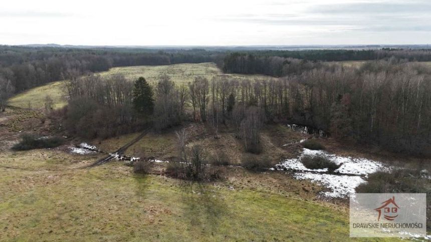 Prosino, 1 985 000 zł, 55.37 ha, rolna miniaturka 2