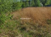 Atrakcyjna działka budowlana w Przebieczanach miniaturka 6