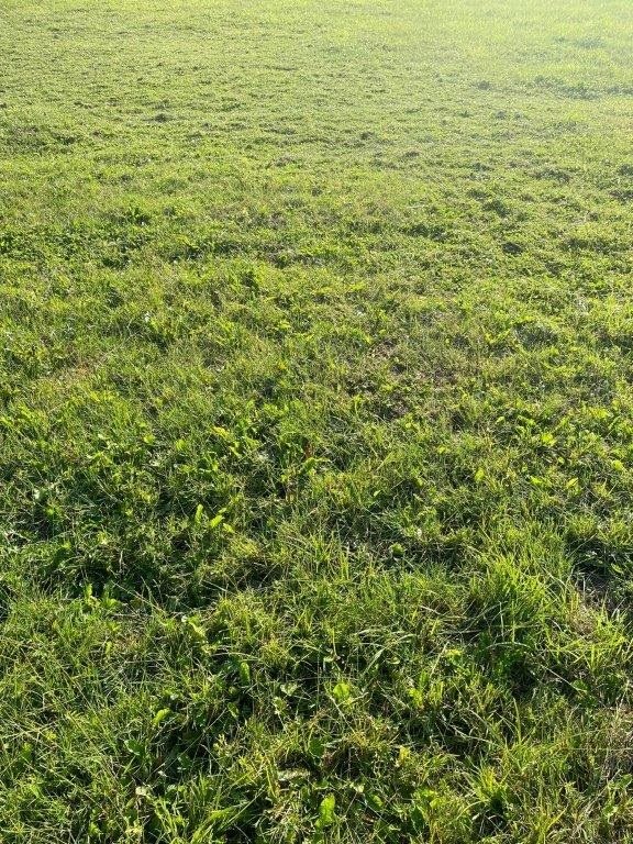 Sianożęty, 36 000 zł, 3 ar, rolna miniaturka 1