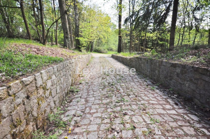Złocieniec, 7 500 000 zł, 500 m2, jasna kuchnia miniaturka 25