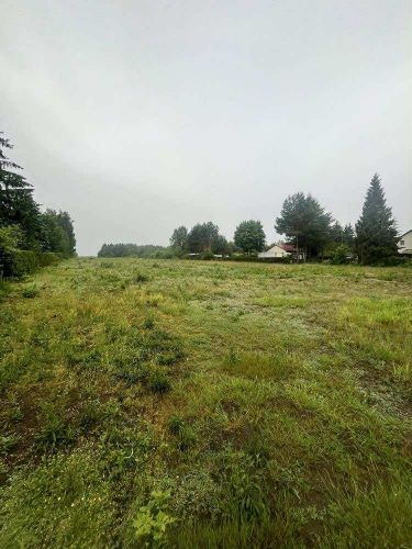 Zalesiona działka 1499 m² w lesie, blisko Zalewu.