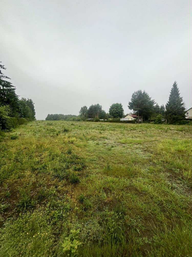 Zalesiona działka 1499 m² w lesie, blisko Zalewu. - zdjęcie 1