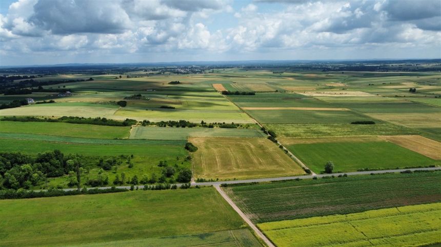 Woźniki atrakcyjna działka z możliwością zabudowy! miniaturka 6