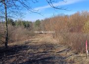 Działka z pozwoleniem w granicy parku, Płaza miniaturka 9