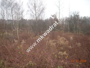Korabiewice, 200 000 zł, 16.81 ar, budowlana