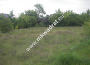 Kanie, 1 386 000 zł, 25 ar, komercyjna miniaturka 2