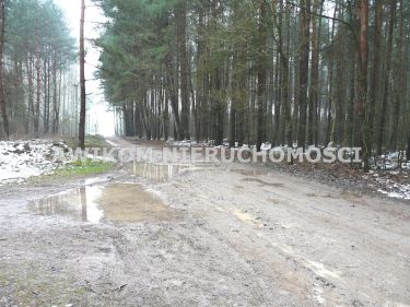 Borowiny, 229 000 zł, 98.13 ar, rolna z prawem zabudowy
