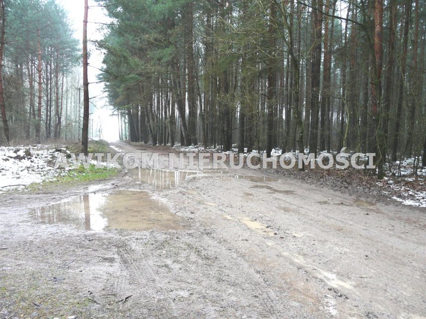 Borowiny, 229 000 zł, 98.13 ar, rolna z prawem zabudowy - zdjęcie 1