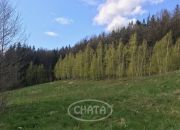 Michałkowa, 149 000 zł, 51.87 ar, rolna miniaturka 2