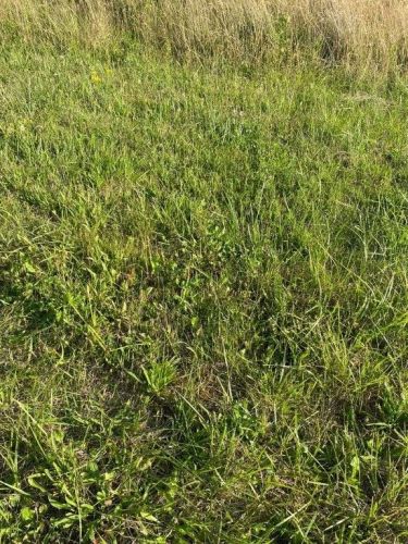 Rusinowo, 79 000 zł, 5 ar, przyłącze wodociągu