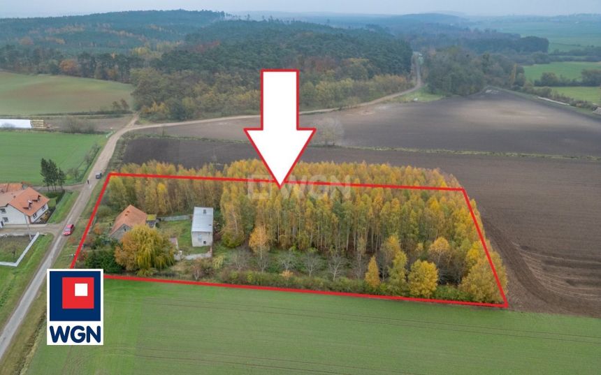 Bielewo, 299 000 zł, 80 m2, jednorodzinny miniaturka 7