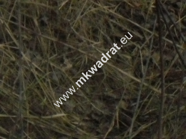 Ciekawa działka miniaturka 7