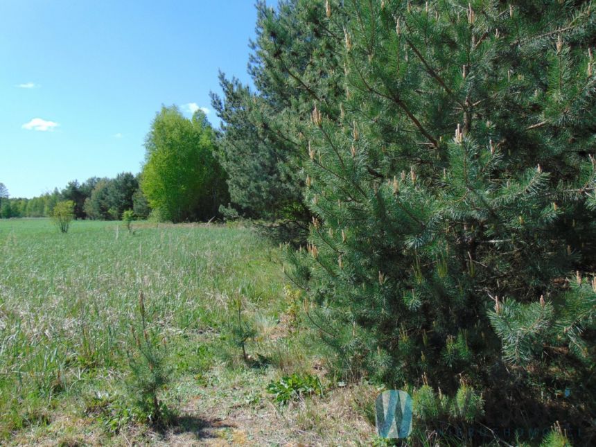 Brzeźce, 230 000 zł, 2.97 ha, przyłącze prądu miniaturka 4