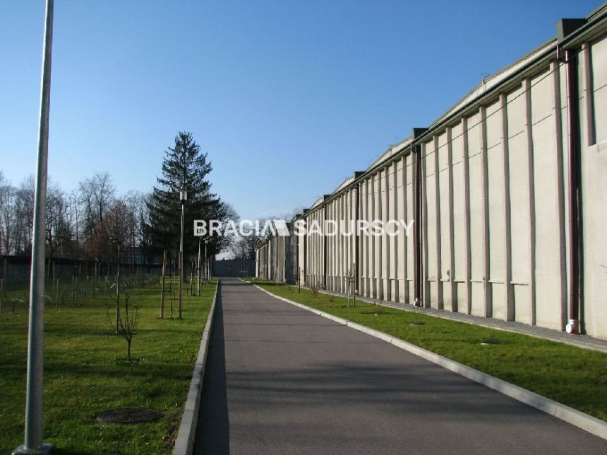 Szczucin, 50 700 zł, 3900 m2, ściany z płyt miniaturka 3