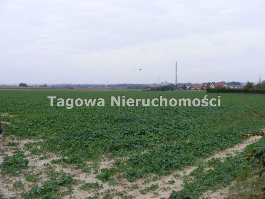 Grębocin, 1 600 000 zł, 3.46 ha, budowlana miniaturka 2