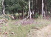 Działka, cicha, MPZP, Osowiec miniaturka 9