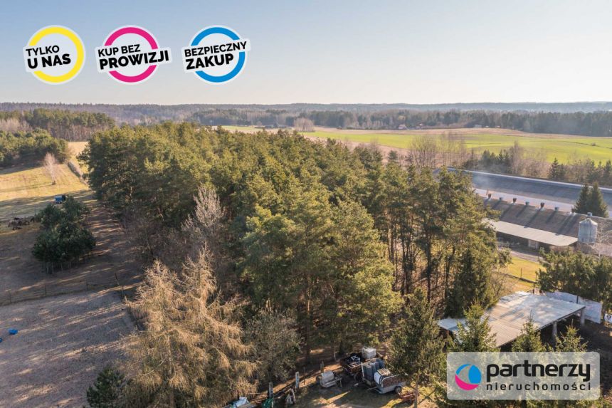 Zwierzewo, 1 699 000 zł, 2.21 ha, przyłącze prądu miniaturka 13