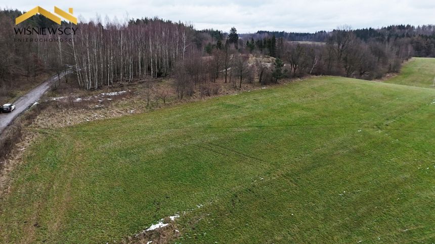 Działka z pozwoleniem na budowę, 3184 m2, Jagodnik - zdjęcie 1