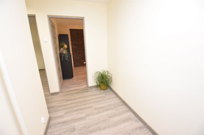 Łódź, 355 000 zł, 45.1 m2, parter miniaturka 9