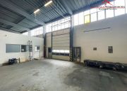 Magazyn - Hala 831,5 m+ biura 60 m2 / Mokre/ Toruń miniaturka 3