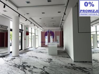 Mokotów : handel/usługi 195,31 m2