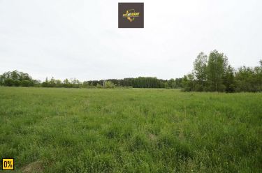 Regiel, 198 000 zł, 1.64 ha, rolna