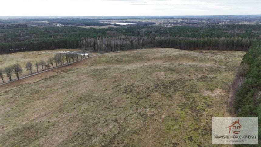 Prosino, 1 985 000 zł, 55.37 ha, rolna miniaturka 9
