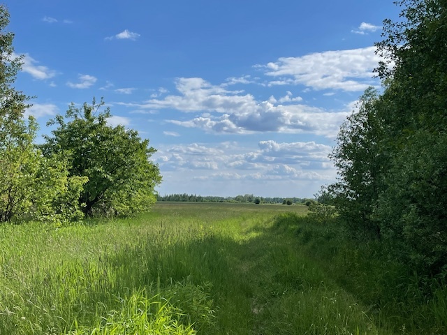 Siedlisko 4,3 ha 30 km od Warszawy 0% prowizji miniaturka 12