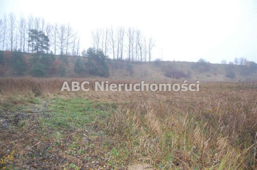 Górzna, 85 000 zł, 42 ar, przyłącze elektryczne miniaturka 5