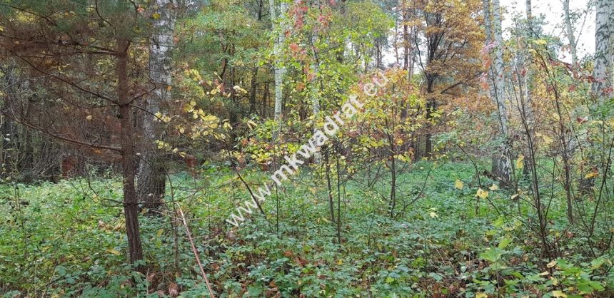 DZIAŁKA  leśna z prawem zabudowy droga gminna - zdjęcie 1