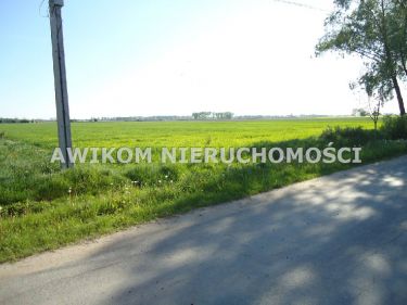 Kłudno Nowe, 4 980 000 zł, 4.98 ha, przyłącze wodociągu