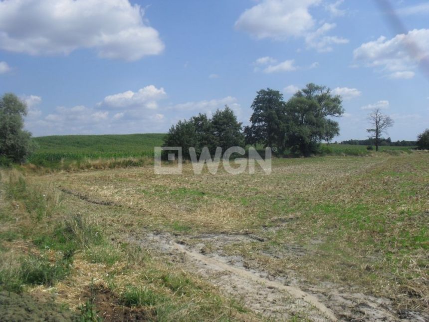 Kurów Mały, 460 000 zł, 1.15 ha, bez nasadzeń miniaturka 7