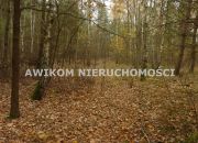 Antoniew, 215 000 zł, 1.25 ha, budowlana miniaturka 3