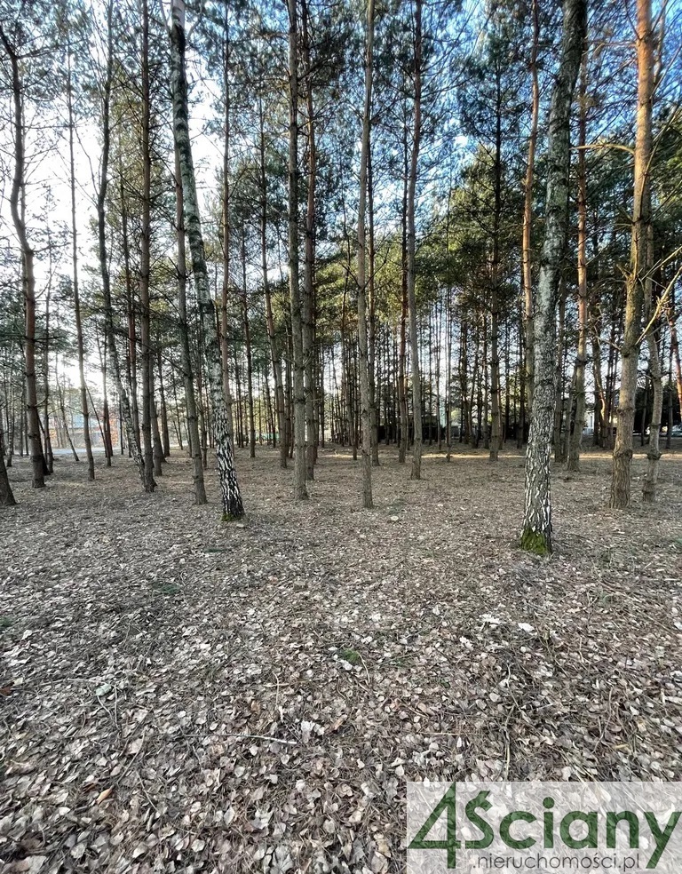 Musuły, 700 000 zł, 30 ar, prostokątna miniaturka 3