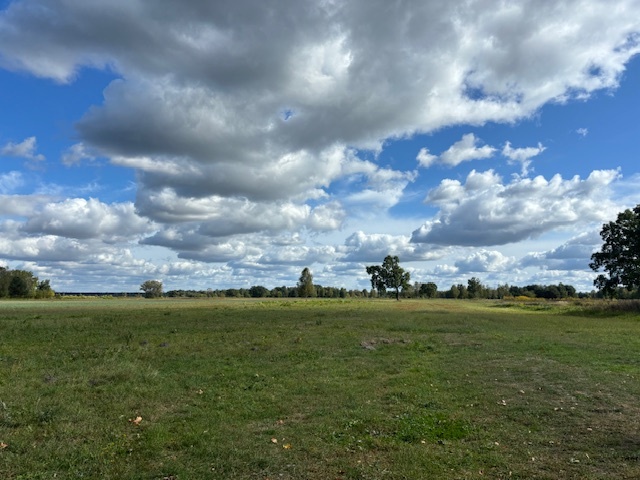 Działka siedliskowa 1,4 ha koło Radzymina miniaturka 8