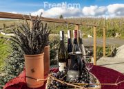Urokliwy nowy Dom z Winnicą i przetwórnią wina miniaturka 11