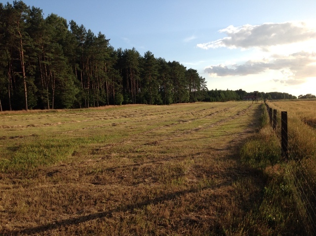 DZIAŁKA POW. 3372 M2 PRZYBIERNÓW. - zdjęcie 1