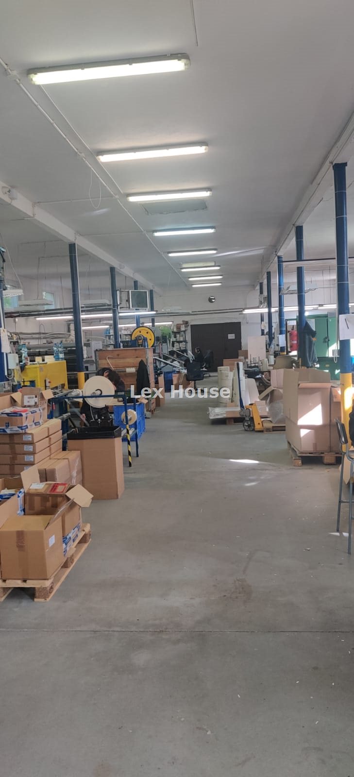 Binowo, 15 000 zł, 1000 m2, produkcyjno-magazynowy miniaturka 6