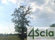 Wieliszew, 350 000 zł, 10 ar, prostokątna miniaturka 3