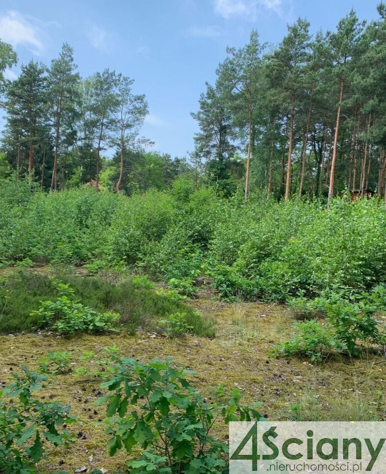 PRZEPIEKNA DZIAŁKA WŚRÓD REZYDENCJI, WIŚNIOWA GÓRA miniaturka 9