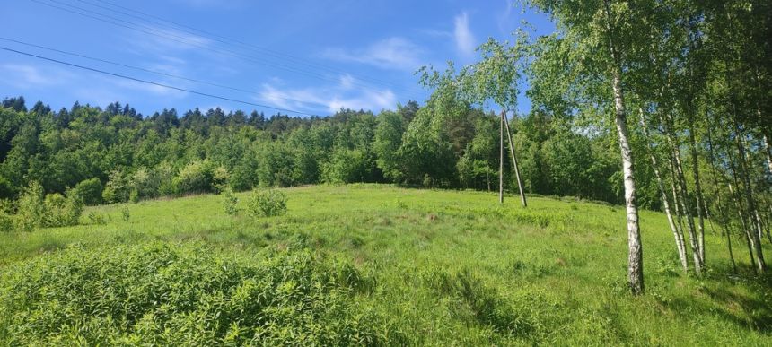Działka budowlana- Tropie- Gródek nad Dunajcem miniaturka 5