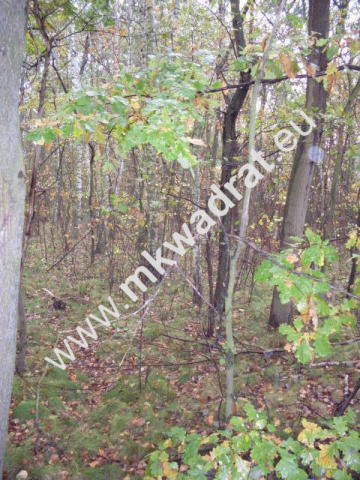 Jaktorów, 623 000 zł, 93 ar, budowlana miniaturka 3
