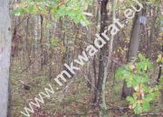 Jaktorów, 623 000 zł, 93 ar, budowlana miniaturka 3
