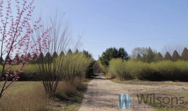 Wołomin, 490 000 zł, 10.24 ar, droga dojazdowa gruntowa