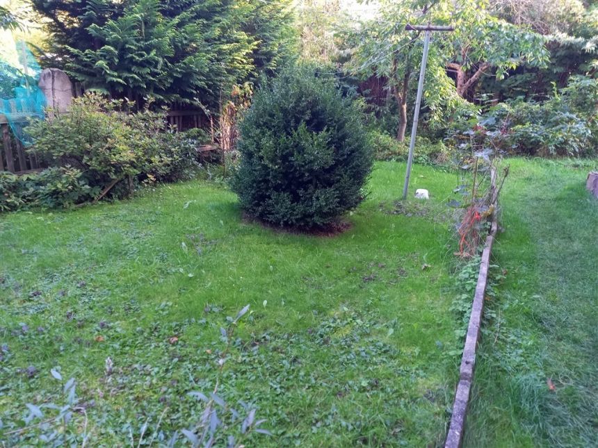 Z możliwością podziału na dwa mieszkania-Nowa cena miniaturka 14