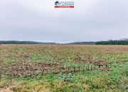 Na sprzedaż działka w Boruchowie gmina Ryczywół miniaturka 3