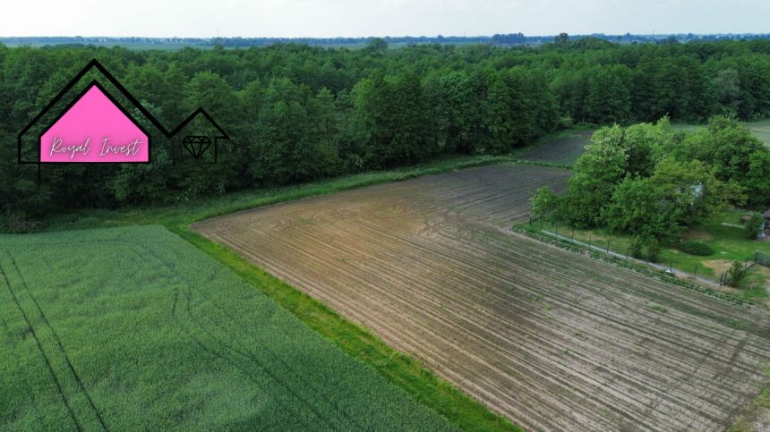 Dobrosołowo 99 000 zł 10 ar miniaturka 5