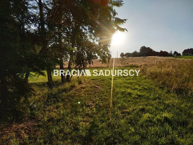 Działka rolna z drewnianym domem Nowa Wieś miniaturka 21