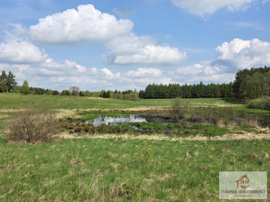 Rzepowo, 495 000 zł, 3.15 ha, rolna miniaturka 12