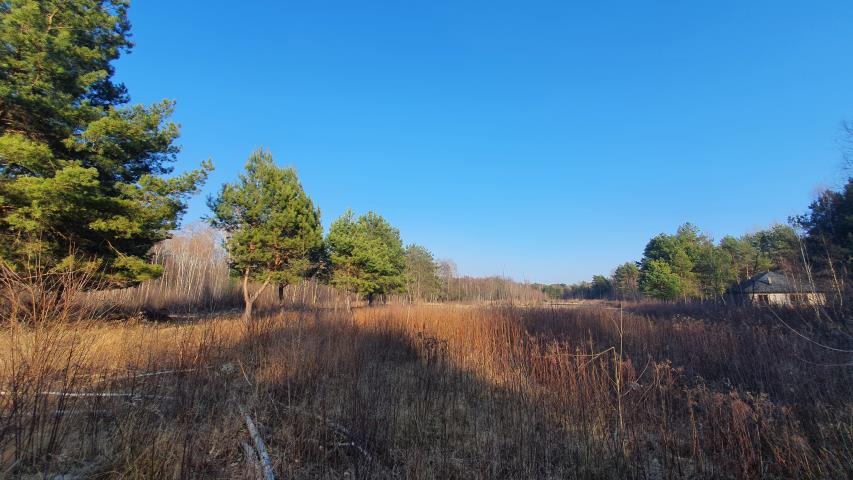 na polanie leśnej 4 do wyboru, wz, prąd miniaturka 5